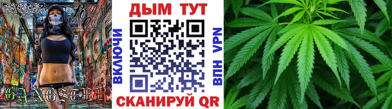 Купить закладки  Верхний Уфалей  Бошки Шишки SATIVA & INDICA 